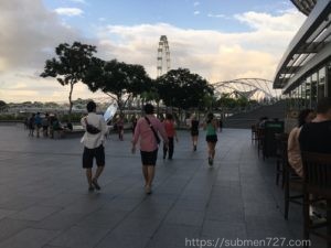 Pita PanからみたHelix Bridge