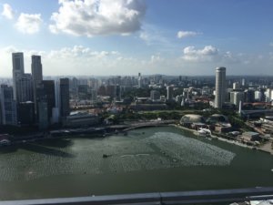 Infinity Pool City View